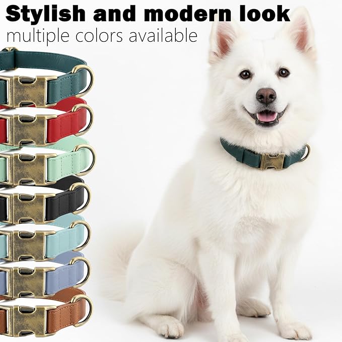 Dog Collar and Leash Set, Silicone Leather Dog Collars Soft Flexible Waterproof & Odor Proof Puppy Collar Durable Thick Adjustable Pet Collar for Small (Green, Small (9-14" Neck))