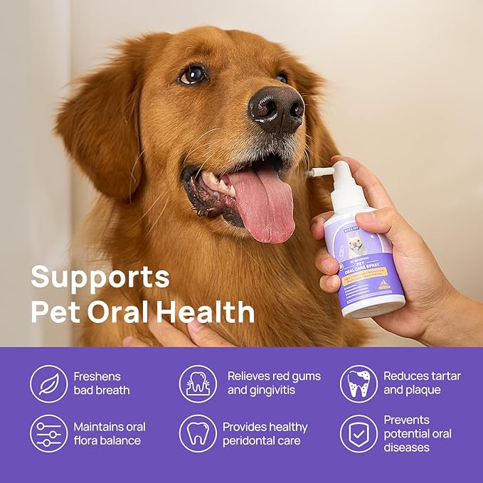 HICC PET Dog Dental Care Spray, Vet-Recommended Breath Freshener & Teeth Cleaning Spray, Eliminate Bad Breath, Relieve Gum Redness & Infections, Reduce Plaque & Tartar, No Brushing, 5.1 Fl Oz