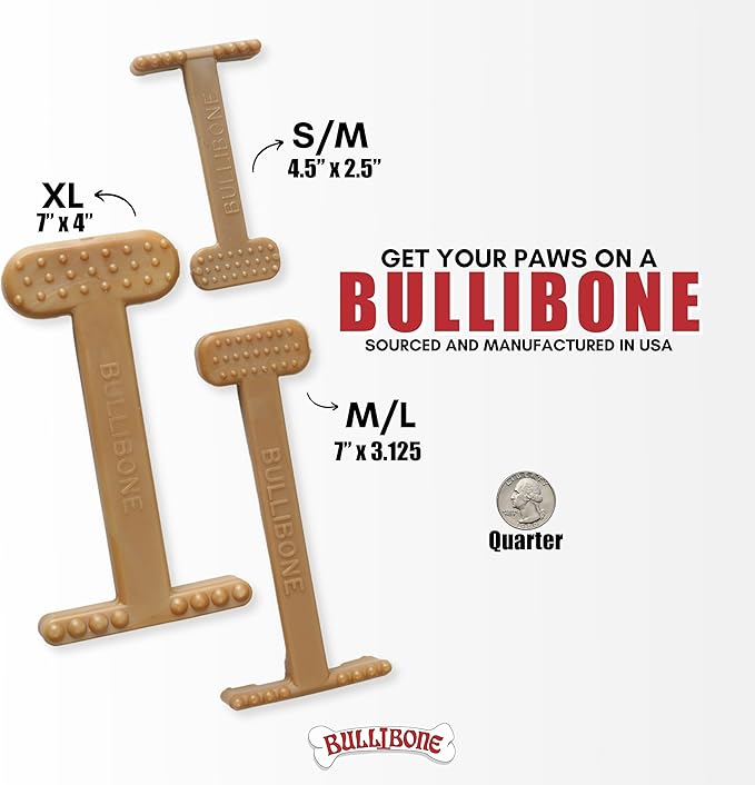 Bullibone Nylon Dog Chew Toy for Aggressive Chewers - Dental Hygiene Bone with Peanut Butter Flavor, Durable Tough Chew Toys for Extra Large Dogs, Indestructible Dog Bone - 2 Pack