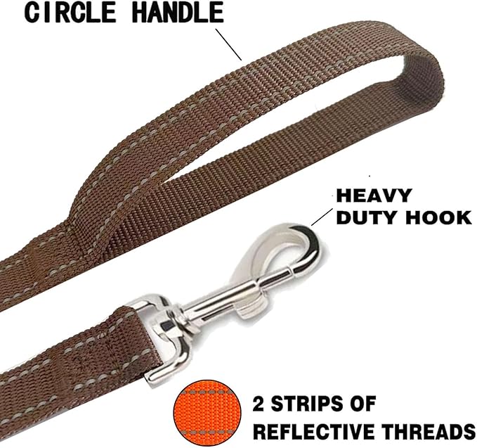 Reflective Dog Leash 4Ft /6 Feet Long, 3/4 Inch Wide, for Small and Medium Dogs