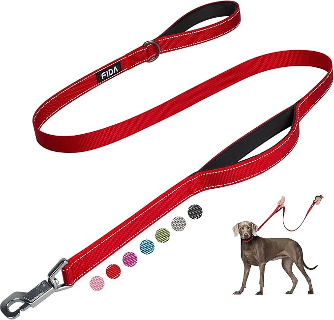 Fida 5 FT Heavy Duty Dog Leash with 2 Comfortable Padded Handles, Traffic Handle & Advanced Easy Snap Hook, Reflective Walking Lead for Large, Medium & Small Breed Dogs, Red