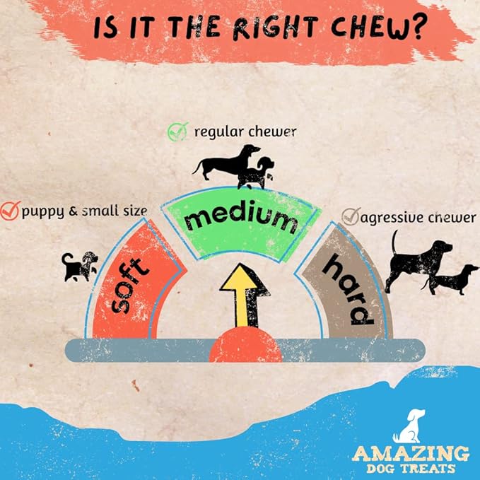 Amazing Dog Treats - 12 Inch Beef Trachea Chews for Dogs (10 pcs/pk) - 100% Natural Trachea Dog Treats - Excellent Source of Glucosamine - Natural Long Lasting Treats