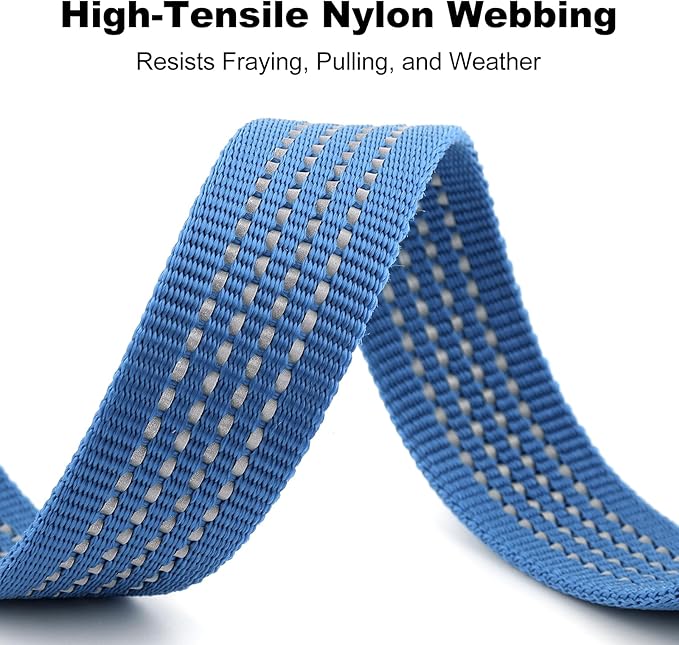 Plutus Pet Heavy Duty Dog Leash with Lockable Aluminum Carabiner, 4/6 Feet Long, Double-Sided Reflective Nylon, Padded Handle, for Puppy, Small, Medium and Large Dogs (Blue, 1" x 6')