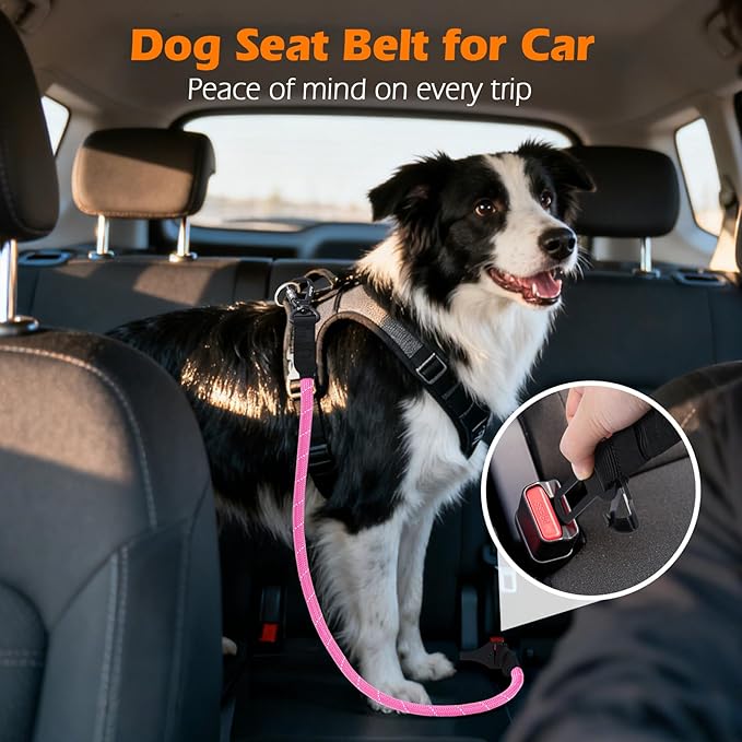 PetBonus Dog Seat Belt for Car, Durable Rope Dog Car Harness Seatbelt for Vehicle, Pet Tether Safety Restraint with Heavy Duty Buckle Hook Latch Lockable Clip for Small Medium Large Breeds (Pink)