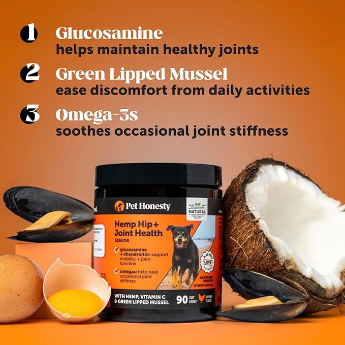 Senior Hemp Hip & Joint Support, Hemp for Dogs, Mobility Support for Senior Dogs, Glucosamine, Collagen, MSM, Green Lipped Mussel, Helps Discomfort (Peanut Butter, 90)