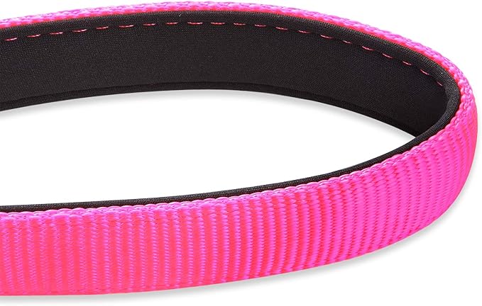 Hyhug Pets 24 Inches Heavy Duty Short Leash with Comfortable Handle and Lightweight Aviation Aluminium Clip Lead- for Large Medium Dogs Daily Necessities. (Hot Pink)