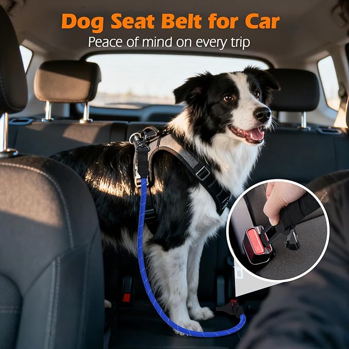 PetBonus Dog Seat Belt for Car, Durable Rope Dog Car Harness Seatbelt for Vehicle, Pet Tether Safety Restraint with Heavy Duty Buckle Hook Latch Lockable Clip for Small Medium Large Breeds (Blue)