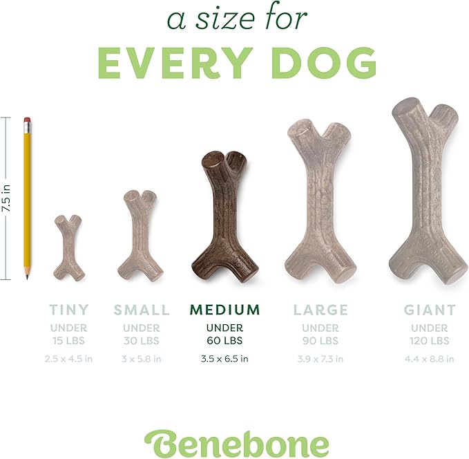 Benebone Maplestick Real Wood Durable Dog Chew Toy, Made in USA, Medium