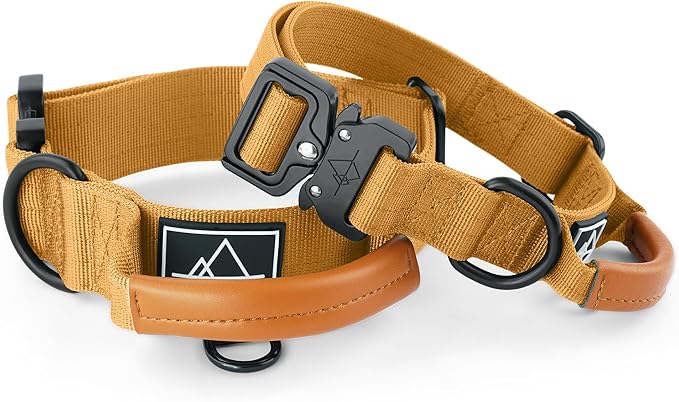 Made to ROAM Premium Explorer Control Collar - Adjustable Heavy Duty Nylon Dog Collar with Quick-Release Metal Buckle and Handle (Michigan Autumn, Control Size 5)
