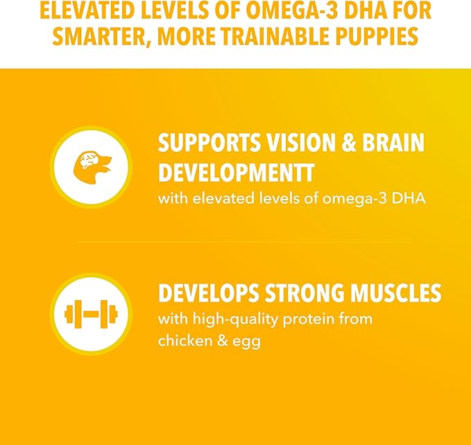 IAMS Proactive Health Large Breed Puppy Food with Real Chicken, 30.6 lb. Bag