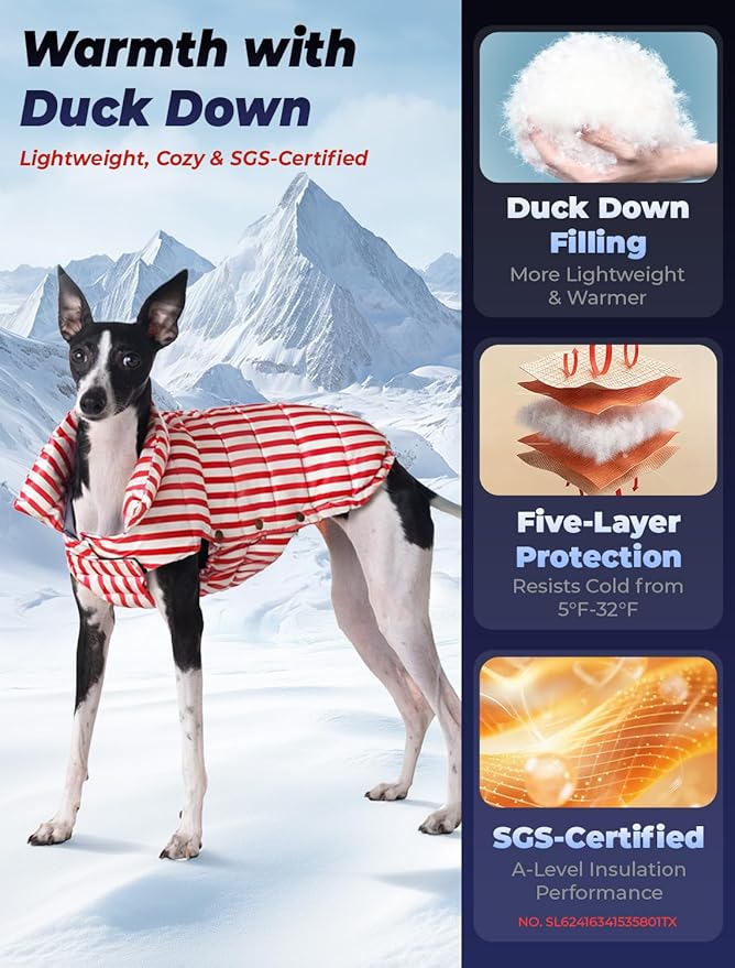 SPACE LION Dog Puffer Jacket, Down Winter Coat, Durable Outdoor Coat for Cold and Windy Conditions, Lightweight & Adjustable Fit Coats for Small & Medium Dogs, (RedStripe, Size 12 Gift Box)
