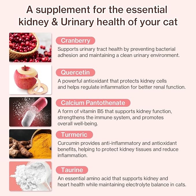 Doctor By UT Care Cat UTI Kidney Support Urinary Supplement Cranberry Treatment for Cats Renal Health with Pacran, Quercetin, Taurine lickable Formula Individually Packaged (1 Pack)