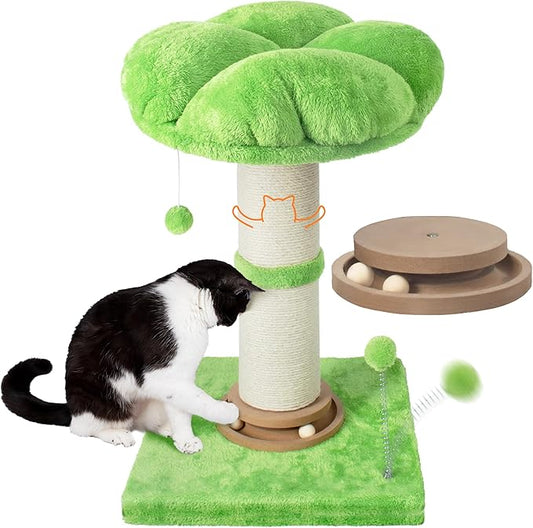 Fantasreen Scratching Post 25 Inch Tall Cat Scratcher for Indoor, Interactive Ball, Small Cat Tree with Bed for Kittens and Large Cats, Green