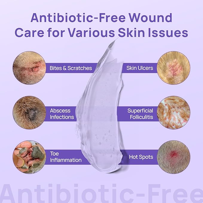 HICC PET Dog Wound Care Hydro Gel, Heals Wounds, Hot Spot Treatment for Dogs, Soothes Inflammation, Prevents Infection, Treats Bites, Scratches & Skin Ulcers, Cat Wound Care Solution, 3.4 Ounces