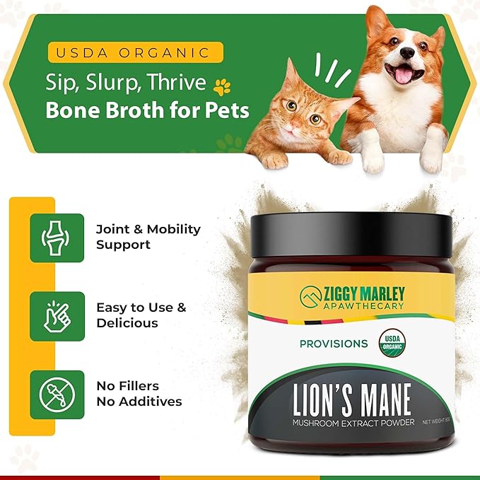 Organic Lions Mane Mushroom Powder for Dogs & Cats – Support Cognition – USDA Organic Fruiting Body Extract, 45 Servings in a Resealable Jar