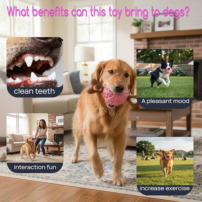 Indestructible Dog Chew Toy, Durable Chew Toy for Small and Medium Dogs, Interactive Bone Toy to Keep Dogs Busy, Teeth Cleaning Toy, Multifunctional Dog Toy for Treats/Cleaning/Chewin