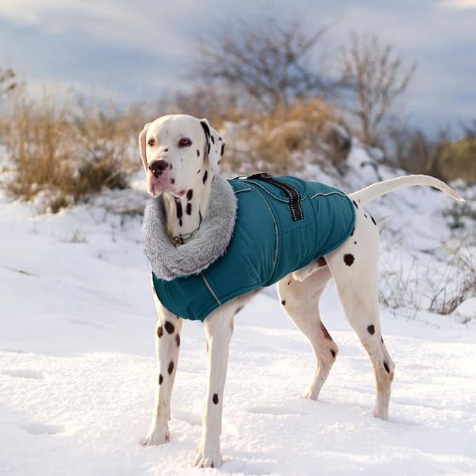 Lelepet Warm Dog Coats for Large Dogs Waterproof Dog Winter Jacket Reflective Pet Fleece Vest Windproof Cold Weather Coats with Adjustable Buckle & Leash Hole, Dark Green, L