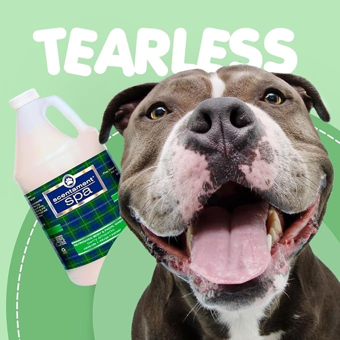 Best Shot Pet Scentament Spa Seasonal Facial & Body Wash, Berry Amaretto, 1 Gallon, Model: S55-Gallon