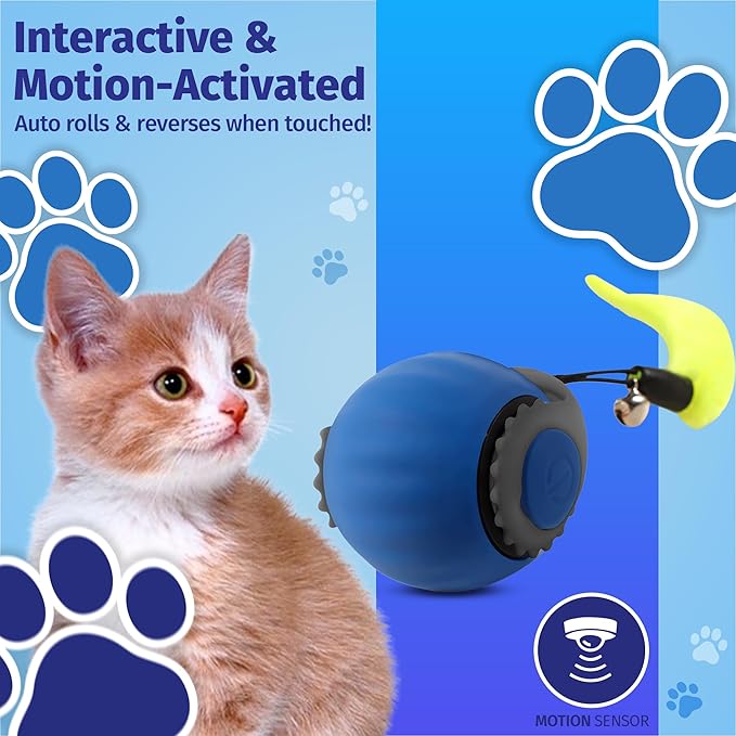 2 PACKS Speedy Tail 2.0 Cat Toy, Interactive Cat Toys for Indoor, Automatic Moving Kitten Rolling Ball with Tail, Rechargeable & Two Speed Adjustment, Smart Interactive Dog Ball, Rollie Pet Chase