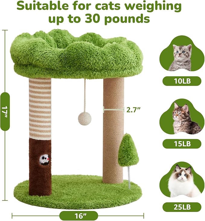 Small Cat Tree with Perch Cat Bed and Removable Cover 23 inch Tall Cat Tower with 2 Scratching Sisal Scratching Posts and Cat Toys for Kittens and Adult Cats（Green）