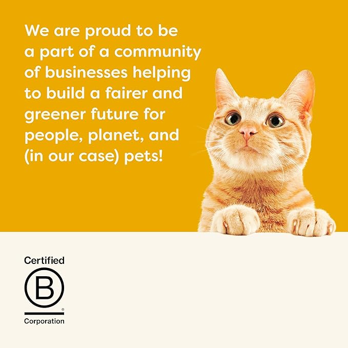 Applaws Natural Wet Canned Cat Food, Limited and Natural Ingreidents, High Protein with No Artificial Additives, Chicken Selection in Broth Cans (36 x 2.47oz Cans)