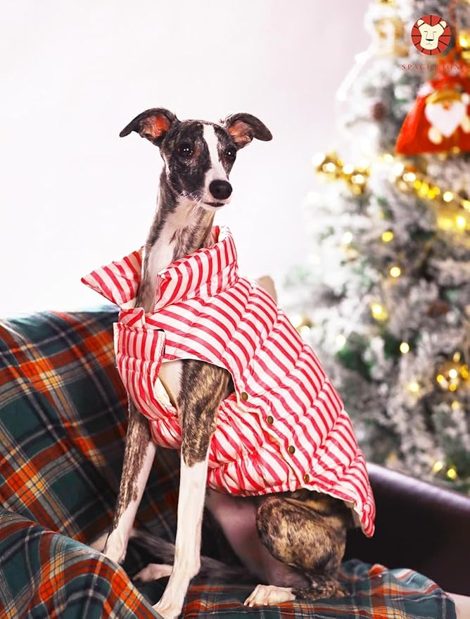 SPACE LION Dog Puffer Jacket, Down Winter Coat, Durable Outdoor Coat for Cold and Windy Conditions, Lightweight & Adjustable Fit Coats for Small & Medium Dogs, (RedStripe, Size 12 Gift Box)