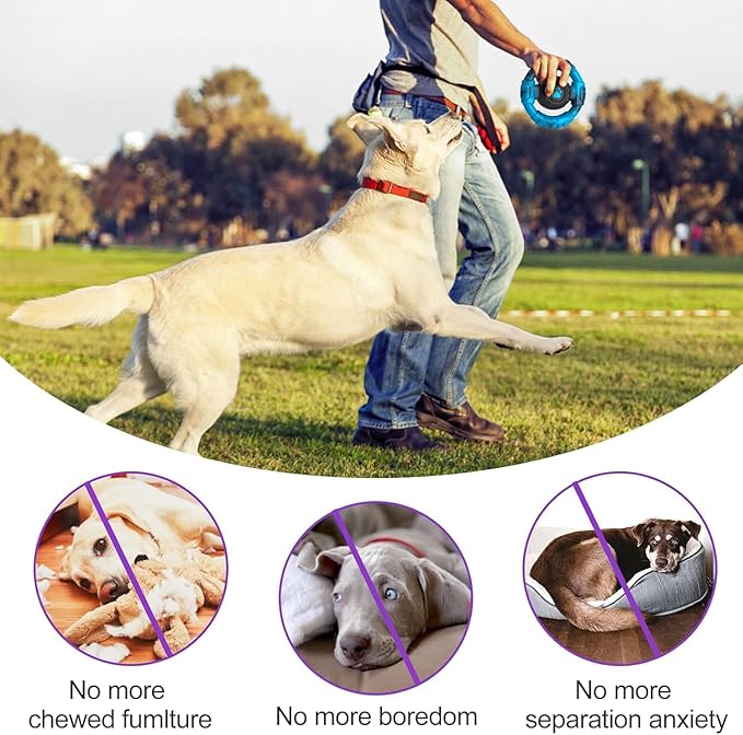Chew Toys for Medium Large Breed, Tough Dog Toys for Aggressive Chewers, Indestructible Dog Toys to Keep Them Busy, Outdoor Puppy Toys,Birthday