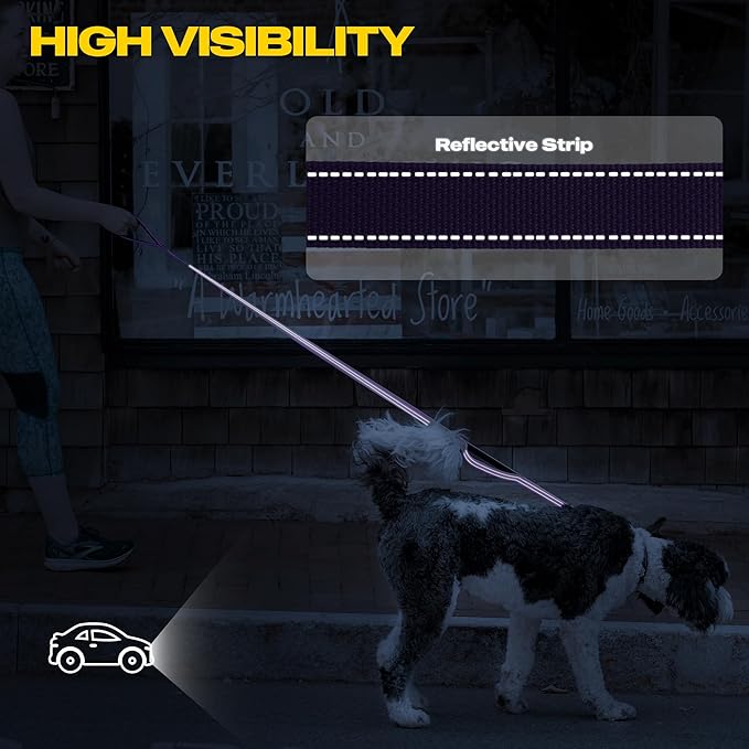 Fida 6 FT Heavy Duty Dog Leash with 2 Comfortable Padded Handles, Traffic Handle & Advanced Easy Snap Hook, Reflective Walking Lead for Large, Medium & Small Breed Dogs, Purple