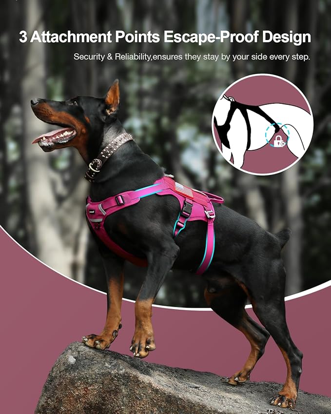 FAYOGOO Tactical Dog Harness for Large Dogs - Dog Harness Escape Proof with Handle - No Pull Military Service Dog Vest with Removable Patches for Walking,Training (Fuchsia, M(Chest:22-27"))