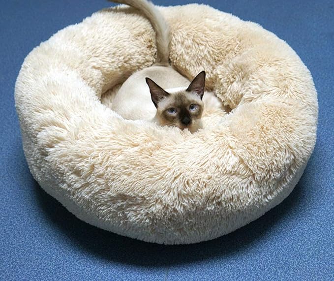 BODISEINT Modern Soft Plush Round Pet Bed for Cats or Small Dogs, Mini Medium Sized Dog Cat Bed Self Warming Autumn Winter Indoor Snooze Sleeping Cozy Kitty Teddy Kennel (24'' D x 8'' H, Champagne)