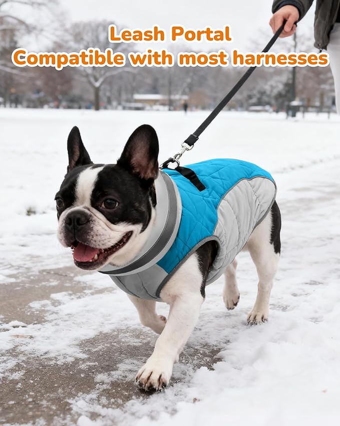 Dog Coat for Medium Dogs, Adjustable Dog Jackets for Cold Weather, Reflective Winter Coat with Built-in Harness, Snowsuit Fits Dogs 14-25 lbs and Up, Size M Blue