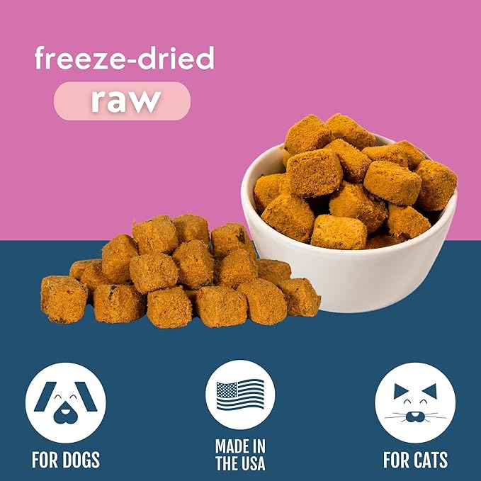 Momentum Carnivore Nutrition Freeze-Dried Wild-Caught Salmon Dog Treats & Cat Treats – Single-Ingredient, High-Protein, Grain-Free, Natural Source of Omega-3s – Made in USA – 3 oz Bag