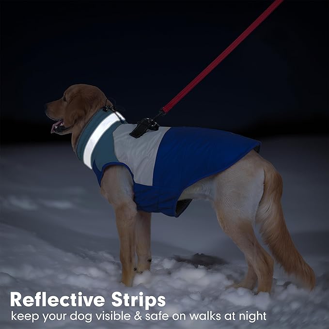 azuza Dog Jacket for Small Dogs Waterproof Dog Coat with Reflective Strips and Harness Built in Warm Fleece Dogs Winter Coat Windproof with Back Zipper, Blue M