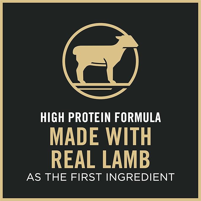 Purina Pro Plan Sensitive Skin and Stomach Cat Food, Lamb and Rice Formula - 22 lb. Bag