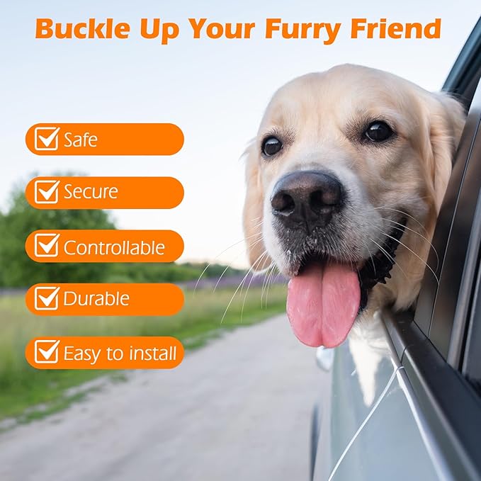 PetBonus Dog Seat Belt for Car, Durable Rope Dog Car Harness Seatbelt for Vehicle, Pet Tether Safety Restraint with Heavy Duty Buckle Hook Latch Lockable Clip for Small Medium Large Breeds (Turquoise)