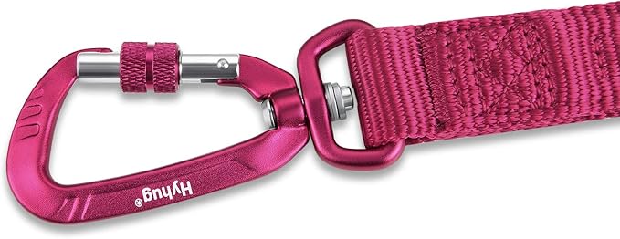 Hyhug Pets 24” Nylon Sturdy Short Leash with Neoprene Soft Handle and Lightweight Aviation Aluminium Clip Lead- for Large Medium Dogs Daily Walking and Training. (24 Inches, Rose Red)