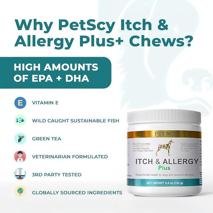 PetScy Itch & Allergy Plus Chews for Dogs Itchy Skin, Ears & Paws | Probiotics, Moringa & Turmeric | for Skin Redness, Hair Loss Gut & Digestive Health - Bacon Flavor - 60 Chews (Pack of 3)