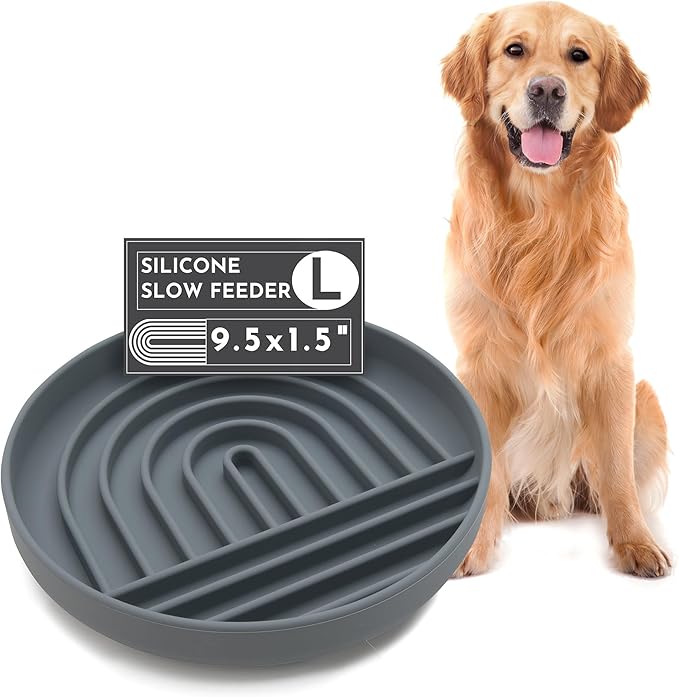 Should We Go? Slow Feeder for Dogs & Puppies, The Slowdown Bowl Silicone Slow Eating, Modern Lick Mat Design, Reduces Gulping, Fits 2.5 Cups 9.5” Across x 1.5” Tall, Mealtime Challenge, Large-Charcoal