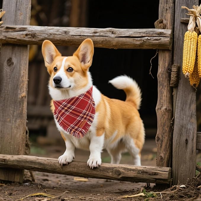 PTDECOR Fall Dog Bandanas with Tassels Edges, Orange and Brown Plaid Scarf Bib, Halloween Thanksgiving Autumn Pet Bandana, Reversible Triangle Bandanas for Small Dogs Puppies Cats(Small)