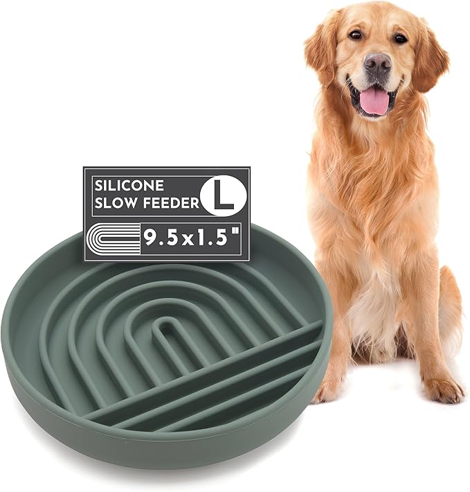 Should We Go? Slow Feeder for Dogs & Puppies, The Slowdown Bowl Silicone Slow Eating, Modern Lick Mat Design, Reduces Gulping, Fits 2.5 Cups, 9.5” Across x 1.5” Tall, Mealtime Challenge, Large-Spruce