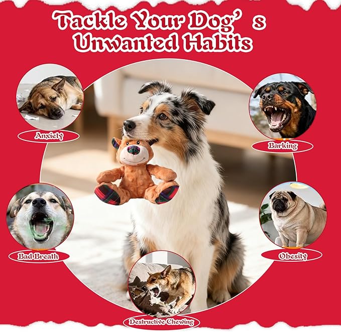 Christmas Squeaky Dog Toys for Large Dogs, Interactive Tug of War Bear to Keep Them Busy - XMS Bear with Crinkle Paper for Puppy Small Medium Large Dogs