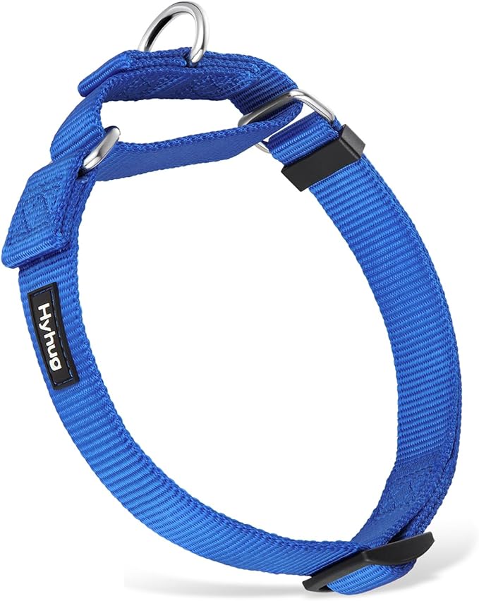 Hyhug Martingale Collar for Dogs Small Blue |Escape - Proof Heavy Duty Nylon Durable No Buckle, Ideal for Training & Daily Walks