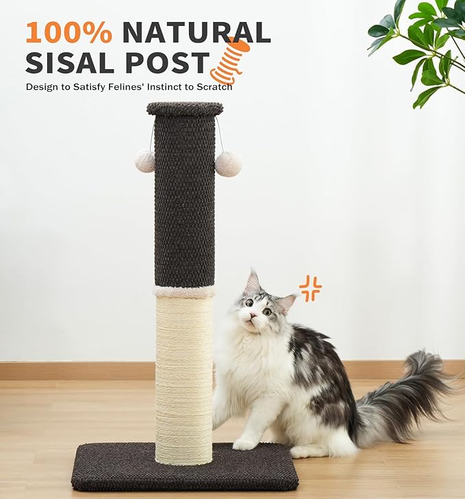 Made4Pets Tall Cat Scratching Post, Heavy Duty and Thicker Scratching Posts for Indoor Cats Adults, 23.6" Natural Sisal Cat Scratcher with Hanging Balls, Sturdy Base Cat Scratch Post, Brown