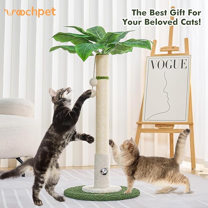 Cat Scratching Post for Indoor Cats and Kitten - 35.43" Tall Cat Scratching Post with Sisal Rope,Palm Tree Cat Scratch Post with Hanging Ball (35.4-White, 35.4in)