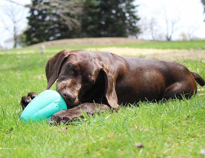 Chew King by Mammoth Premium Treat Dog Toy, XL, Extremely Durable Natural Rubber Toy, Pack of 2, All Breed Sizes