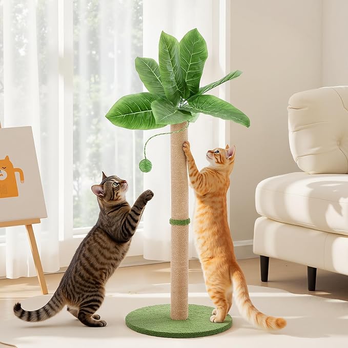 Sweetcrispy 33" Cat Scratching Post for Indoor Cats, Cat Scratcher Scratching Posts with Dangling Ball for Adult, Palm Tree Cat Scratch Post for Kittens, Green