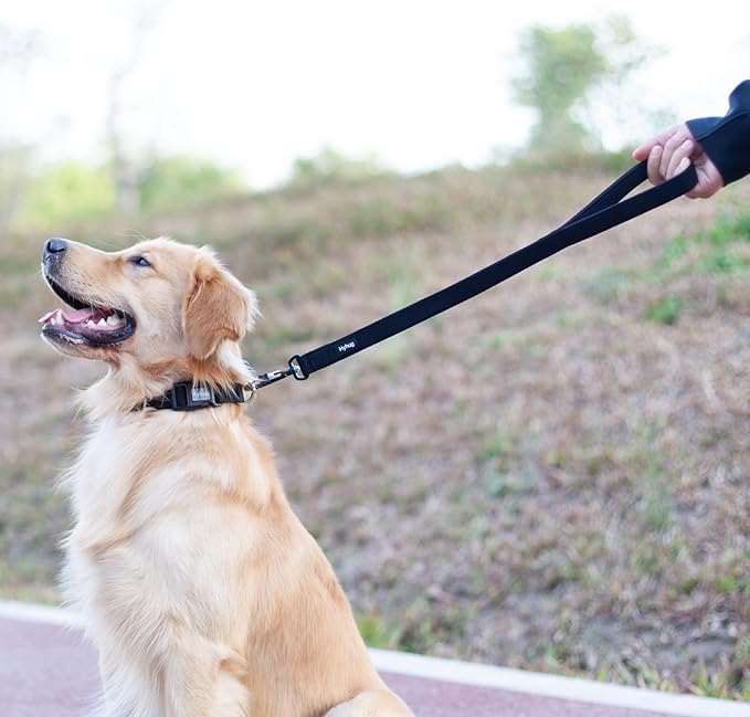 Hyhug Short Dog Leash Heavy Duty Nylon with Comfortable Padded Handle, Durable Training Pet Leashes for Small Medium Large Dogs(24 Inches, Black)