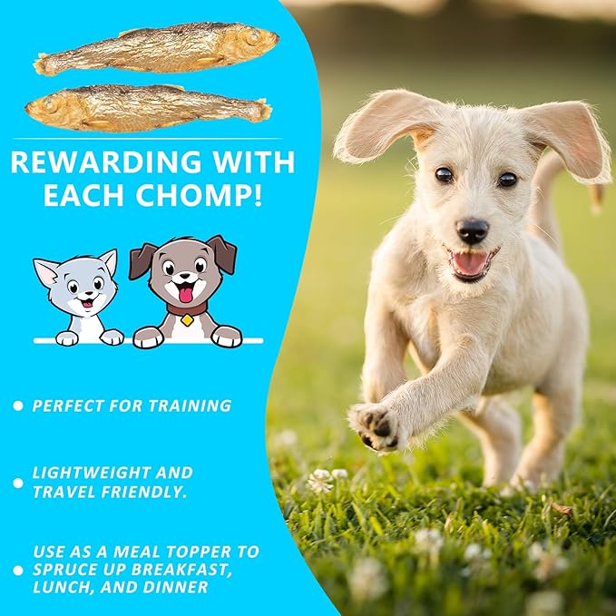 Herring Fish Dog Treats, Freeze Dried, Wild-Caught, Single Ingredient, High-Protein, Omega 3 & 6 for Skin & Coat, No Additives, Grain-Free Cat & Dog Treats (7.5 oz)