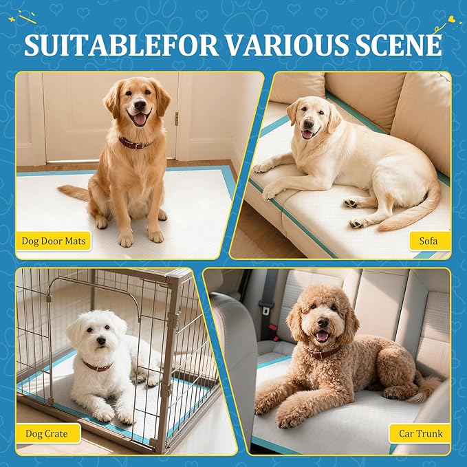 Extra Large Dog Pee Pads, 31"x47" Jumbo Puppy Potty Training Pads | 40 Count Super Absorbent & Leak-Proof Pads for Large Breed Dogs, Great for Crate Lining & Floor Protection