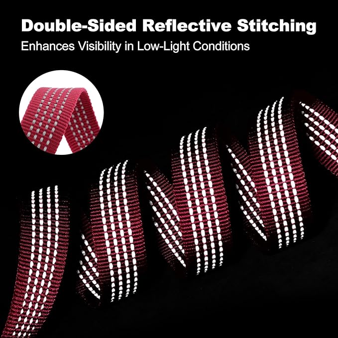 Plutus Pet Heavy Duty Dog Leash with Lockable Aluminum Carabiner, 4/6 Feet Long, Double-Sided Reflective Nylon, Padded Handle, for Puppy, Small, Medium and Large Dogs (Burgundy Red, 1" x 6')